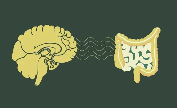 Stress có gây ra hội chứng ruột kích thích? Chuyên gia lý giải 