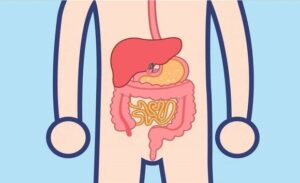FTT_Mỗi người có một kiểu tiêu hóa riêng?
