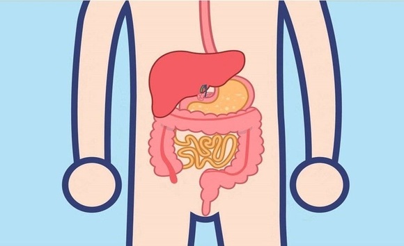 Nghe kỳ lạ nhưng thật: Mỗi người có một kiểu tiêu hóa riêng? 