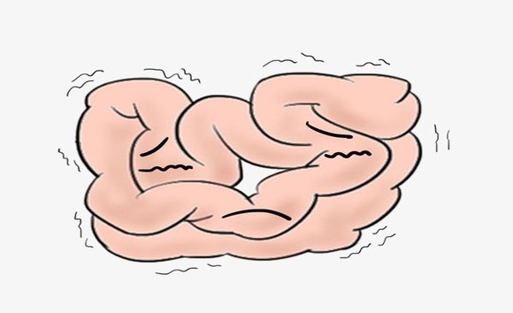 Nhu động ruột theo từng độ tuổi: Trẻ hay táo bón, người già khó đi ngoài 