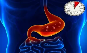 FTT_Thức ăn bao lâu thì tiêu hóa hết?