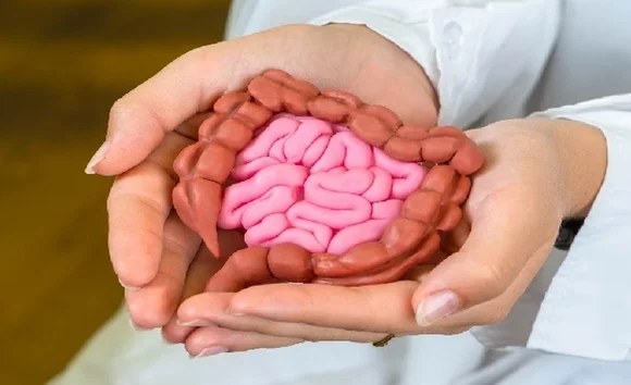 Muốn tiêu hóa tốt, hãy bắt đầu từ những thói quen nhỏ này 