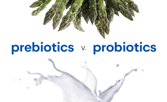 Probiotic và prebiotic: Khác nhau như thế nào? Đừng nhầm lẫn! 