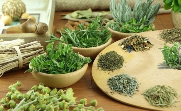 Thảo dược chữa viêm đại tràng – giải pháp tự nhiên an toàn và hiệu quả