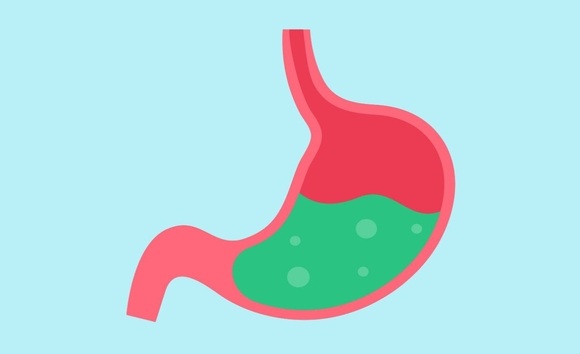 Vì sao dạ dày không tự tiêu hóa chính nó? Cân bằng giữa yếu tố tấn công và bảo vệ 