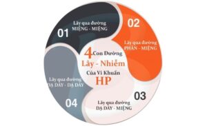 FTT_HP lây qua đường nào? Những thói quen hàng ngày dễ khiến bạn bị nhiễm mà không hay