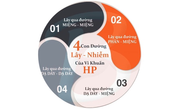 HP lây qua đường nào? Những thói quen hàng ngày dễ khiến bạn bị nhiễm mà không hay 