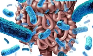 FTT_Các chủng men vi sinh phổ biến và tác dụng đặc biệt của từng loại