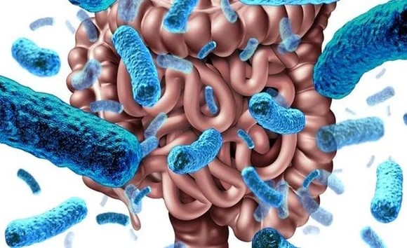 Các chủng men vi sinh phổ biến và tác dụng đặc biệt của từng loại 