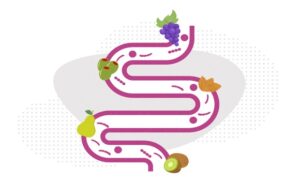 FTT_Dinh dưỡng bảo vệ ruột – Nền tảng để hệ miễn dịch vững vàng