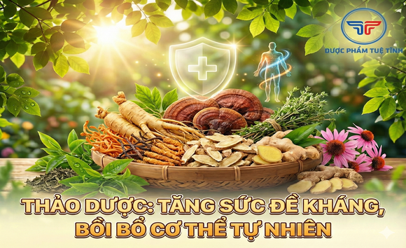 Thảo dược giúp tăng sức đề kháng, bồi bổ cơ thể tự nhiên 