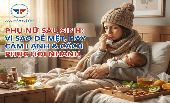 Phụ nữ sau sinh – vì sao dễ mệt, hay cảm lạnh, và cách phục hồi thể lực nhanh 