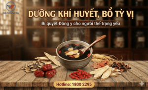 FTT_Dưỡng khí huyết, bổ tỳ vị – Bí quyết Đông y cho người thể trạng yếu