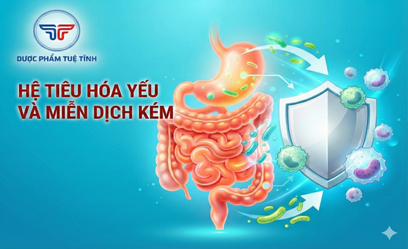 Hệ tiêu hóa yếu và miễn dịch kém: Mối liên hệ ít người biết 