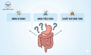 FTT_Men vi sinh, men tiêu hóa và chất xơ hòa tan: nên dùng loại nào khi bị đầy hơi?
